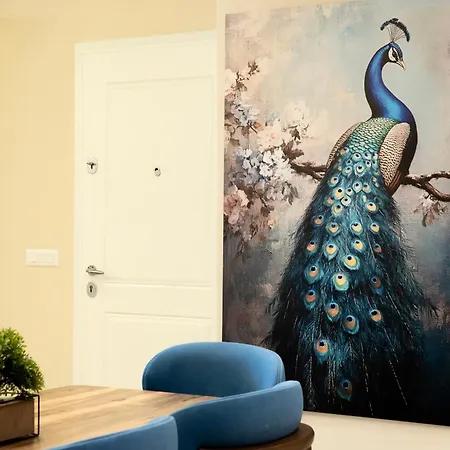 Oyster Seaview Sarande